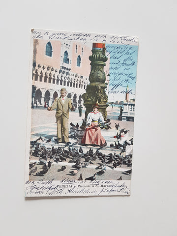 AK Venezia. Piccioni a S. Marco.