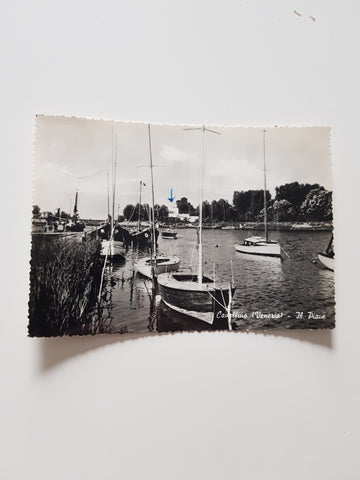 AK Cavallino. Il Piave.