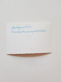 SW-Foto Heiligenblut, Fronleichnamprozession. (um1960 ?).