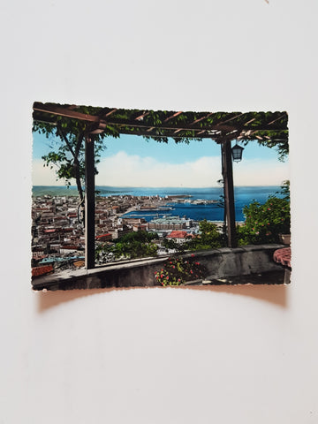 AK Trieste. Panorama.