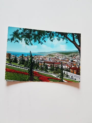 AK Trieste. Panorama.