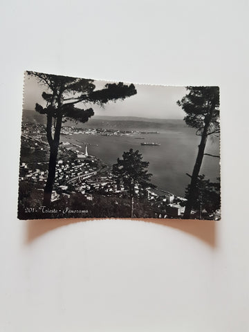 AK Trieste - Panorama.