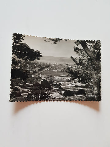 AK Trieste Panorama.