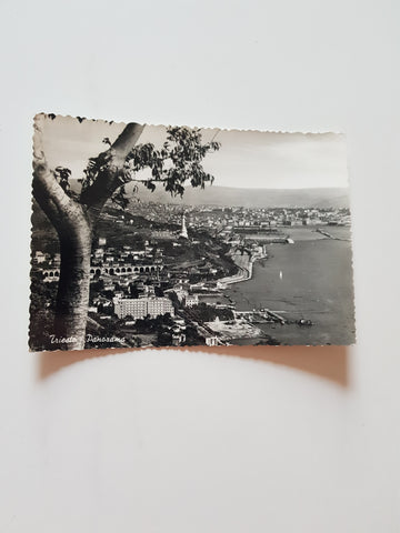 AK Trieste - Panorama.
