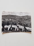 AK Gorizia - Panorama.