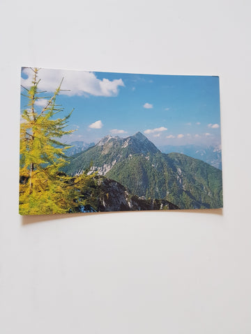 AK Alpi Giulie. Jof di Miezegnot.