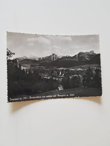 AK Tarvisio. Particolare con veduta del Mangart.