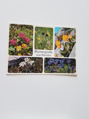 AK Blumengrüße aus Kärnten.