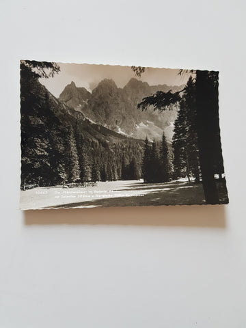 AK Die Märchenwiese im Bodental mit Selenitza u. Vertatscha.