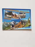 AK Großglockner Hochalpenstraße.