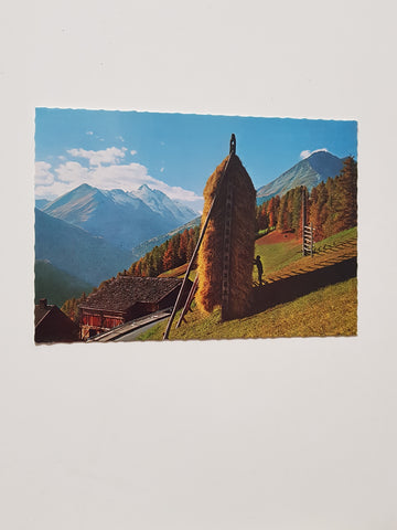 AK Großglockner Hochalpenstrasse mit Großglockner. Südrampe - Bauernhof mit Getreideharpfe.