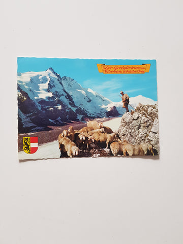 AK Grossglockner und Johannisberg von der Franz-Josephs-Höhe.