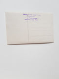 AK Großglockner v.d. Johannhütte.