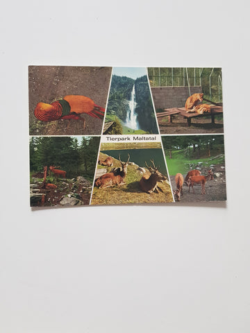 AK Tierpark Maltatal.