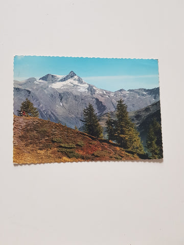 AK Blick von der Häusleralm bei Mallnitz auf Ankogel.