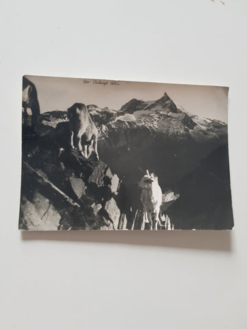 AK Der Ankogel.