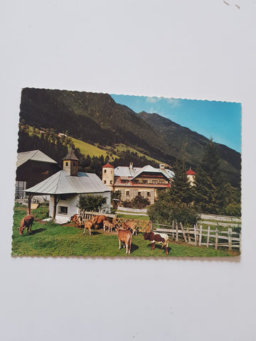 AK Steinfeld. Vegetarische Pension Schloß Neustein.