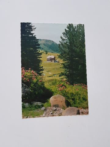 AK Dr.-Josef-Mehrl-Hütte. Nockgebiet. Bundschuh Schönfeld.