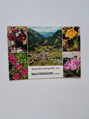 AK Alpenblumengrüße aus Mauterndorf.