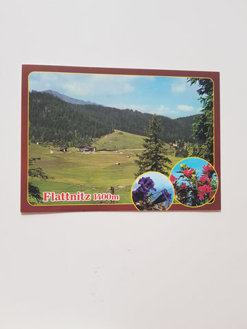 AK Flattnitz.