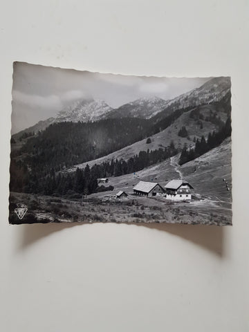 AK Alpenwirtschaft Möselalm mit Reiskofel.