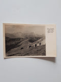 AK Oisternig Feistritzer Alpe. Blick nach West Julische Alpen. (1936)