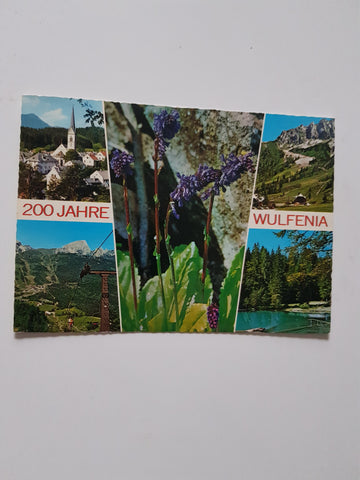 AK 200 Jahre Wulfenia. Franz X, Freiherr von Wulfen. Gailtaler Alpen. Gartnerkofel Hermagor-Sonnenalpe Naßfeld.