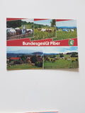 AK Bundesgestüt Piber.