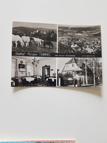 AK Köflach. Gasthof Pension Trimmel. Roseggergasse.