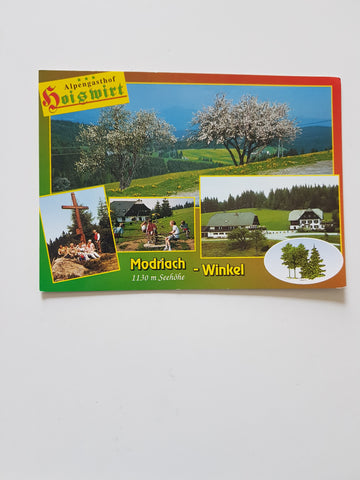 AK Modriach. Alpengasthof Hoiswirt. Familie Gruber.