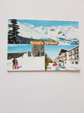 AK Sirnitz. Ludwig's Alpenhotel, Hochrindl.