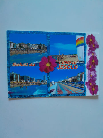 AK Saluti da Lido di Jesolo.
