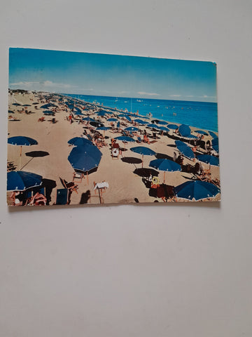 AK Bibione Pineda. Panoramica della Spiaggia.