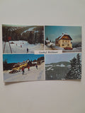 AK Alpl. Gasthof Holzbauer J. u. A. Leitner.