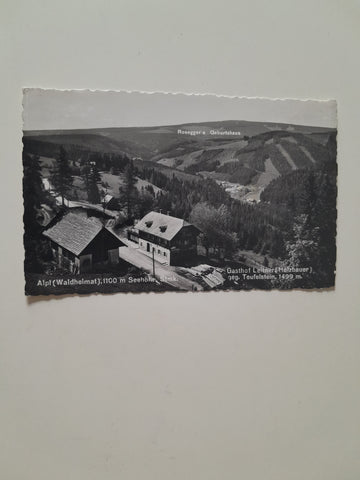 AK Alpl. Gasthof Leitner (Holzbauer) geg. Teufelstein.