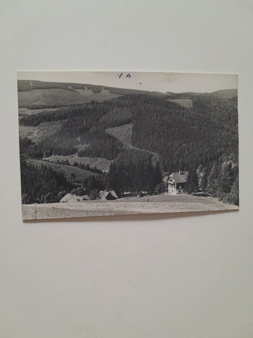 Muster-AK Alpl Gasthof Bruggraber Waldhaus. Frank-Verlag.