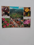 AK Blumengrüße aus Deutschlandsberg.