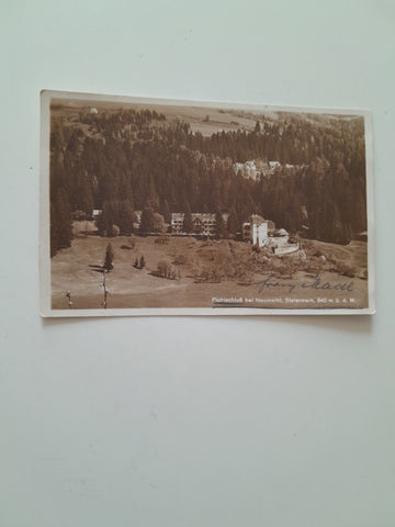 AK Pichlschloß bei Neumarkt.