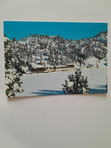 AK Brandstätter's Seehotel Jägerwirt. Turracherhöhe.