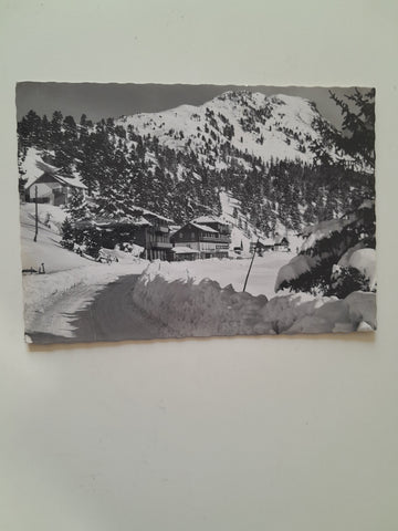 AK Wintersportplatz Turracherhöhe Brandstätter's Seehotel Jägerwirt. (1962)