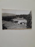 AK Salzstieglhaus mit Speikkogel.