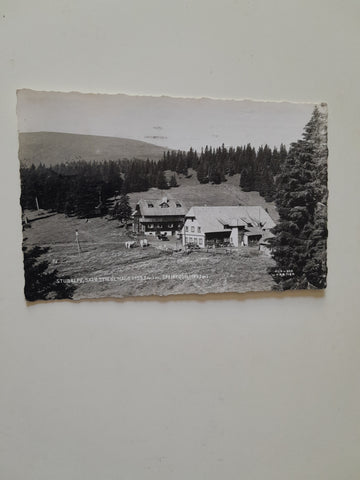AK Salzstieglhaus mit Speikkogel.