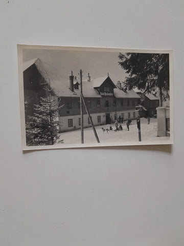 AK Alpengasthof Reichenstein. Prebichl.