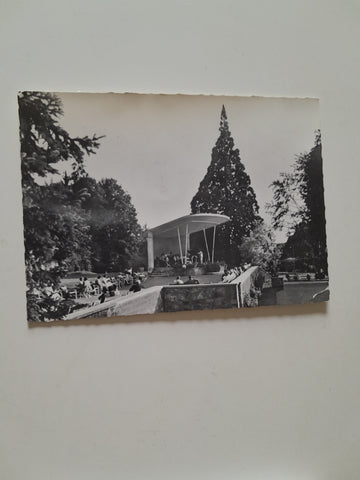 AK Bad Gleichenberg. Musik-Terrasse mit Wellingtonia. (1961)