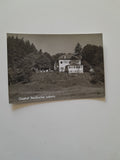 AK Leibnitz. Gasthof Staribacher.