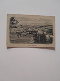 AK Gleisdorf. (1919-20)