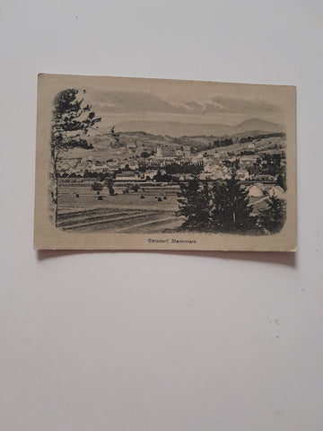 AK Gleisdorf. (1919-20)