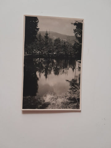 Muster-AK Scheibenbauerteich in Rettenegg Blick zum Stuhleck. (1935-36) (Frank-Verlag)