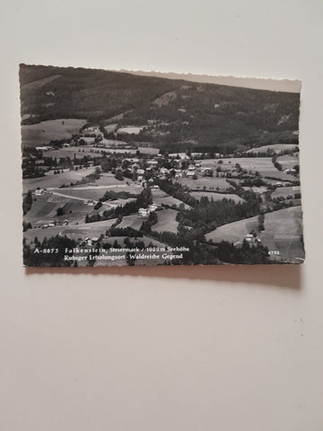 AK Falkenstein.