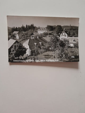 AK Falkenstein.